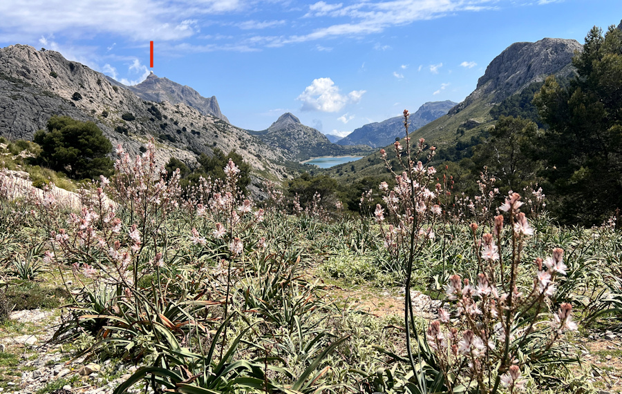 Blick auf den Cúber Stausee und Puig Major