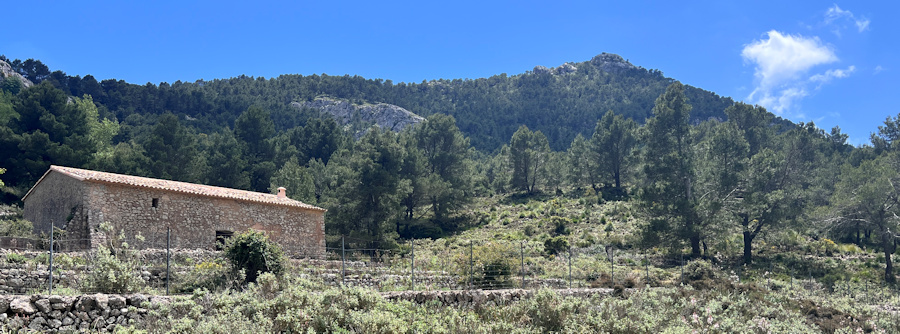 Finca Binimorat mit Blick auf den l'Ofre