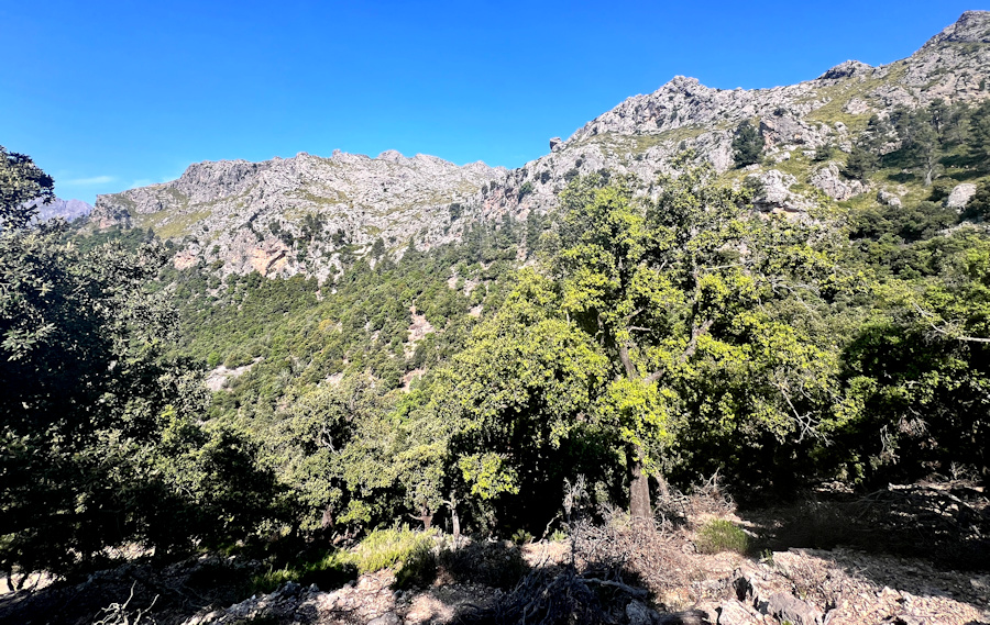 Blick auf den Puig Roig